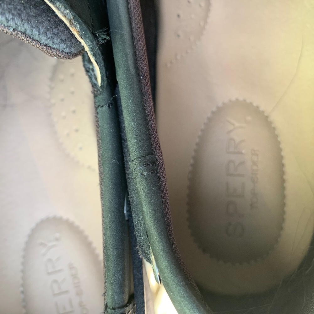 Sperry shoes